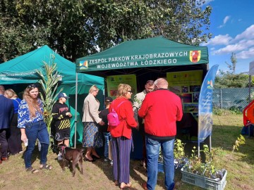 Relacja z Dożynek Powiatu Skierniewickiego w Starej Rawie, 